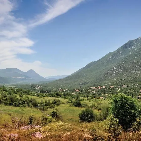 Amazing In With Wifi *